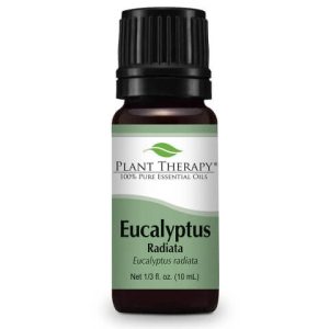 Eucalyptus Radiata (10ml)